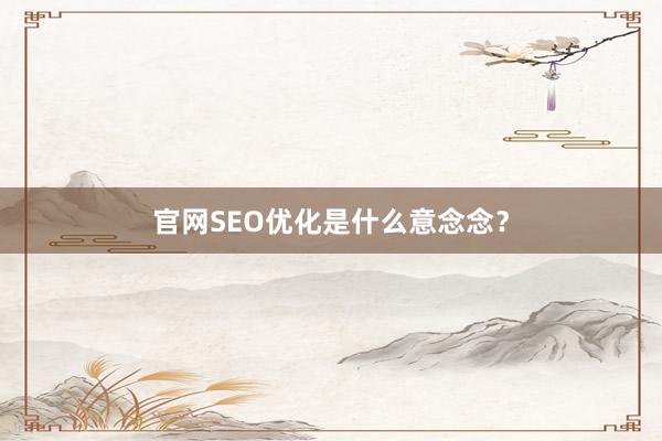 官网SEO优化是什么意念念？