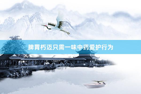 脾胃朽迈只需一味中药爱护行为